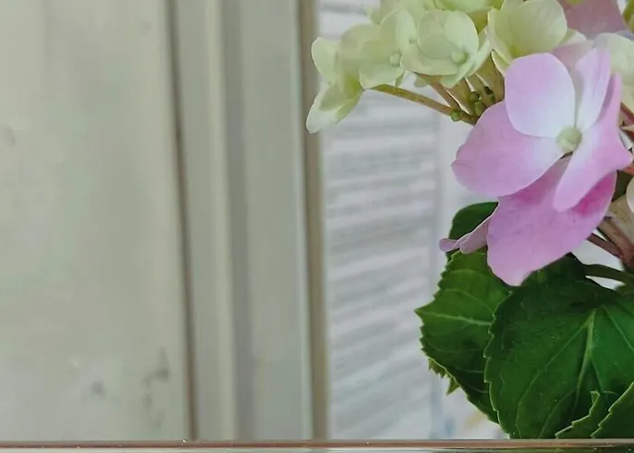 Hi - De Juventude * אובאר